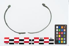 Foto von Bronzebandarmreif (NHMW-PRAE-024008)